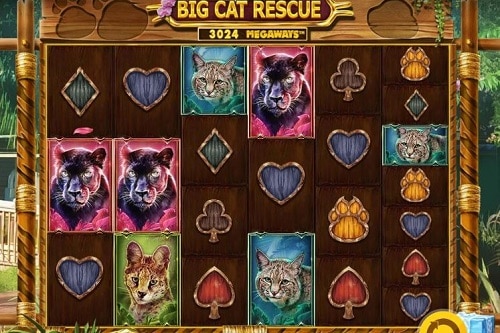 Big Cat Rescue Megaways Base Game Screenshot