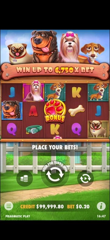 This is a screenshot of the slot game Dog House slot mobile version