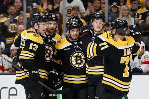 This is a picture of the Boston Bruins for the top 5 best teams in the NHL 2022-23 season article