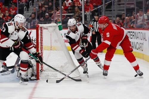 This is a picture of the Detroit Red Wings vs Arizona Coyotes for the NHL Picks article 